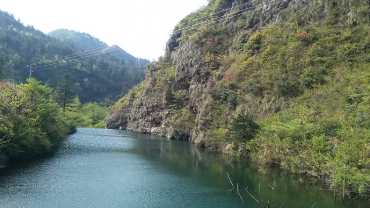 IMG_20150416_090940.jpg