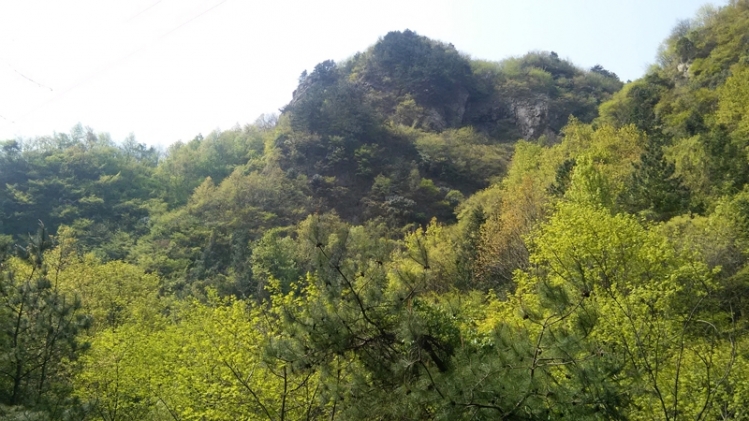 IMG_20150416_094534.jpg