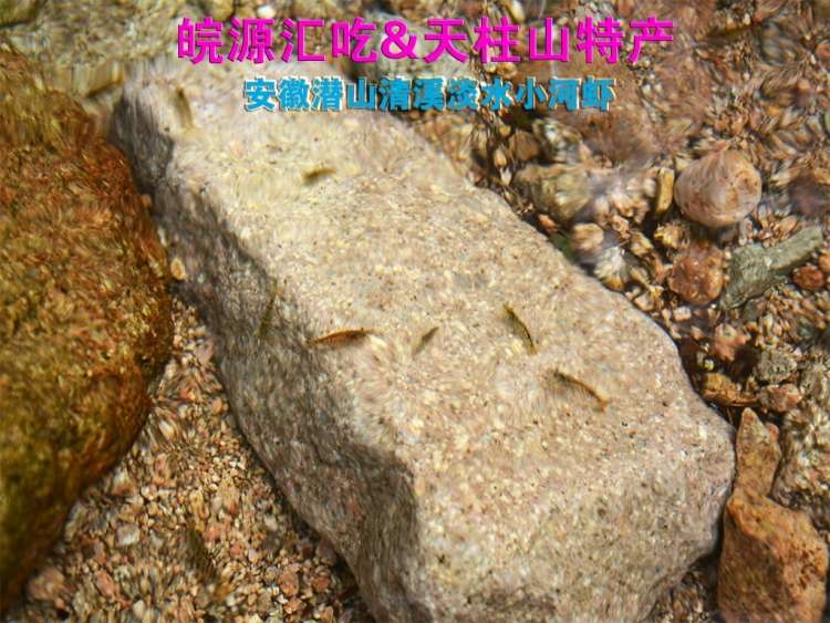 草根缘清溪淡水小河虾