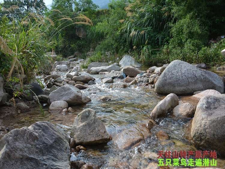 五只菜鸟走遍潜山