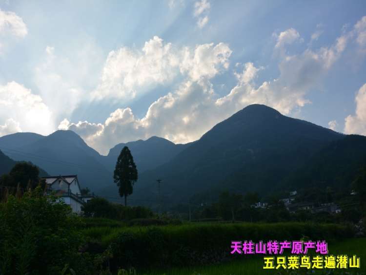 五只菜鸟走遍潜山