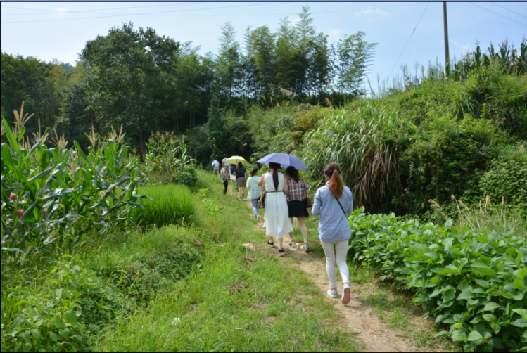 官庄镇宴屋古建筑