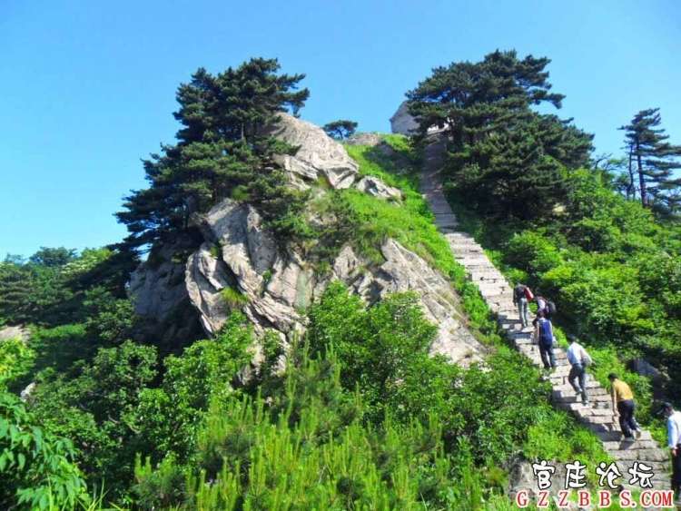 金紫山.jpg