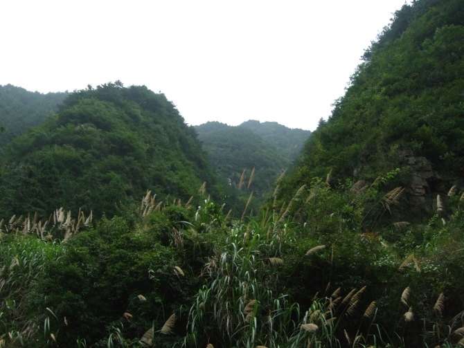 平阳河3.jpg
