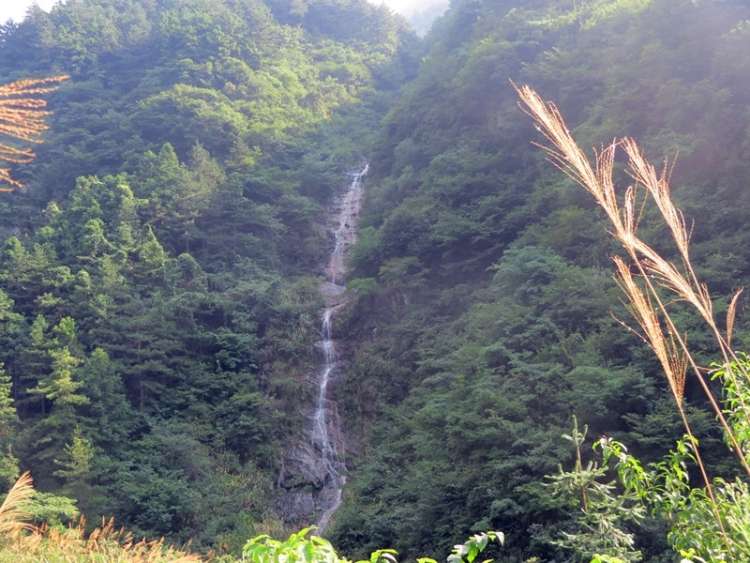 IMG_0172_副本.jpg
