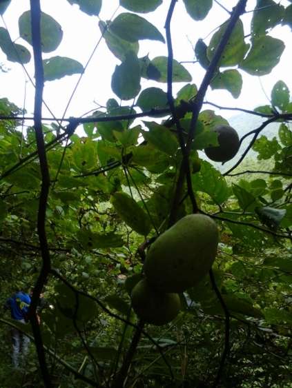 20150812_100312_副本.jpg