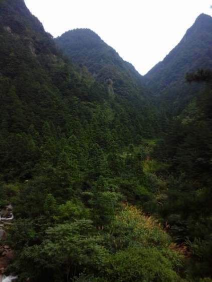 20150812_105330_副本.jpg