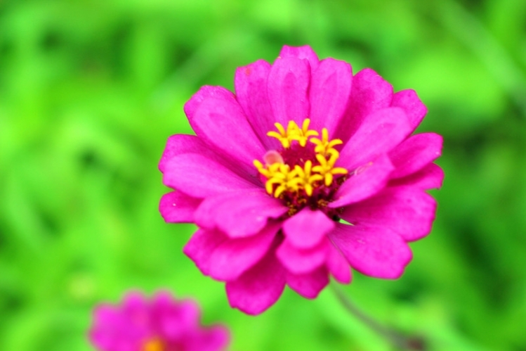 IMG_5758_副本.jpg