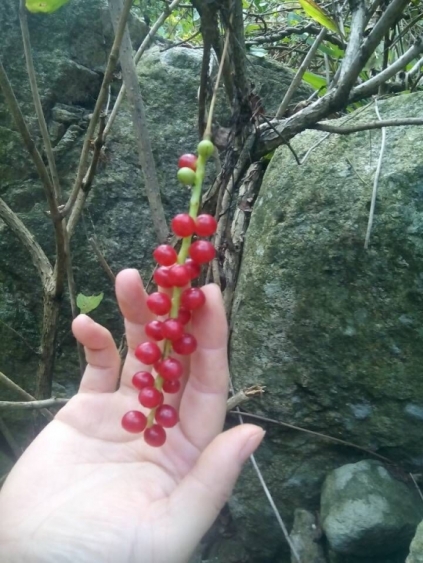 QQ图片20150911190827.jpg