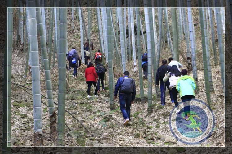 潜山旅游天柱户外