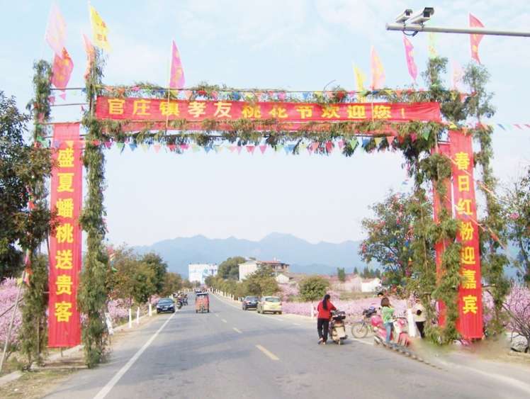 官庄镇孝友文化旅游文化节在那桃花盛开的地方举办 (1).jpg