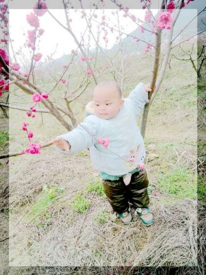  官庄孝友文化旅游节在那桃花盛开的地方召开