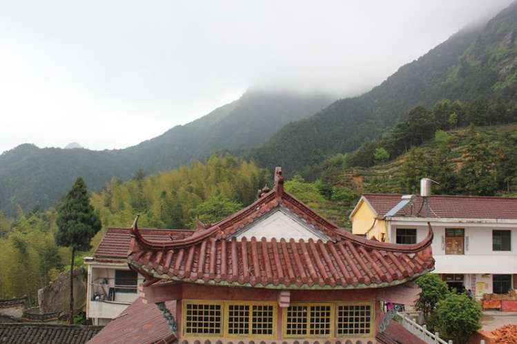 IMG_2245_副本.jpg