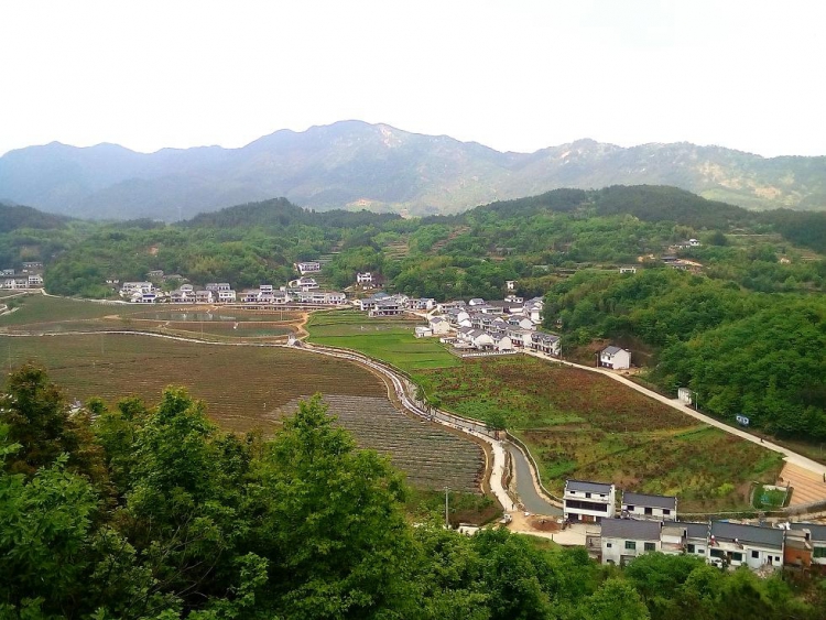 IMG_20160428_161857_776.jpg