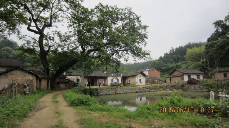 IMG_3023_副本.jpg