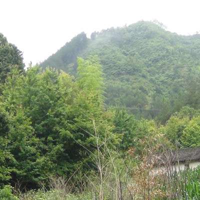 佛子岒2＝