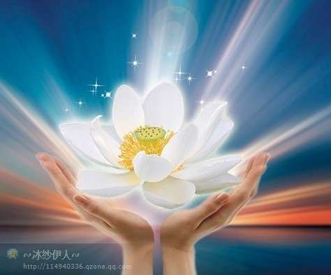 一朵禅意的莲.jpg