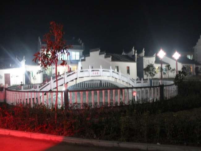 IMG_2432_conew1.jpg