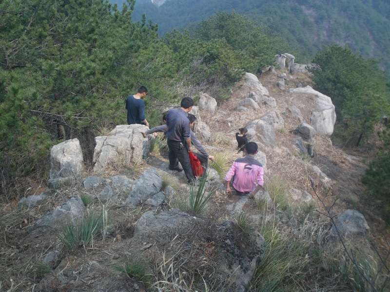 IMAG0910.jpg