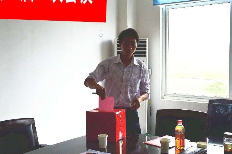 潜山县官庄（金紫山）文艺联谊会选举投票