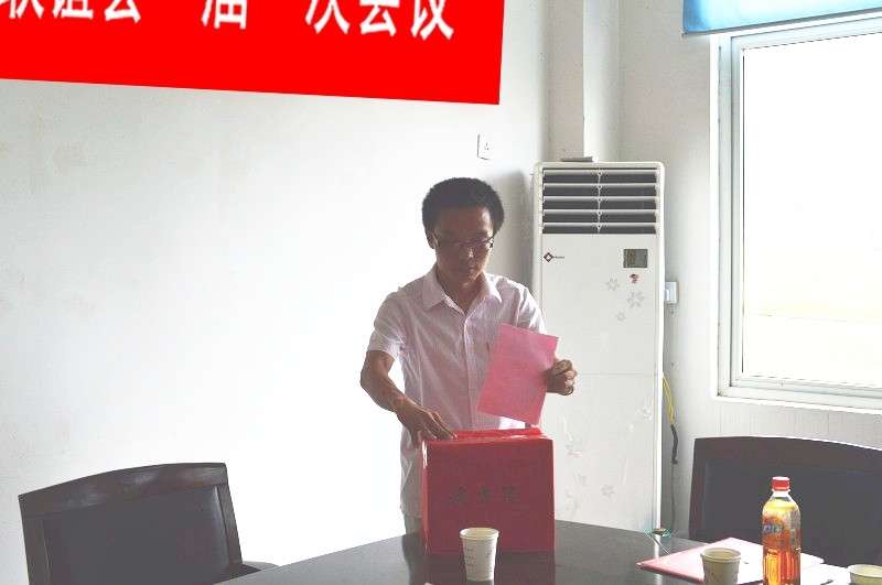 潜山县官庄（金紫山）文艺联谊会选举投票