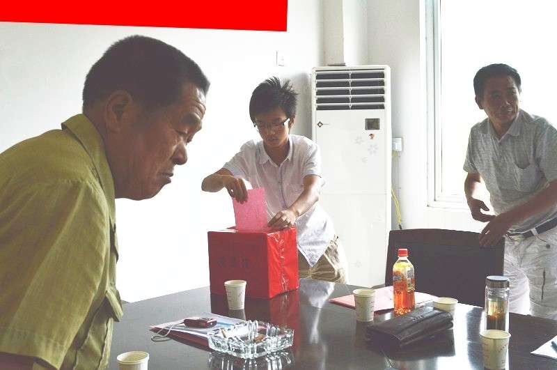 潜山县官庄（金紫山）文艺联谊会选举投票